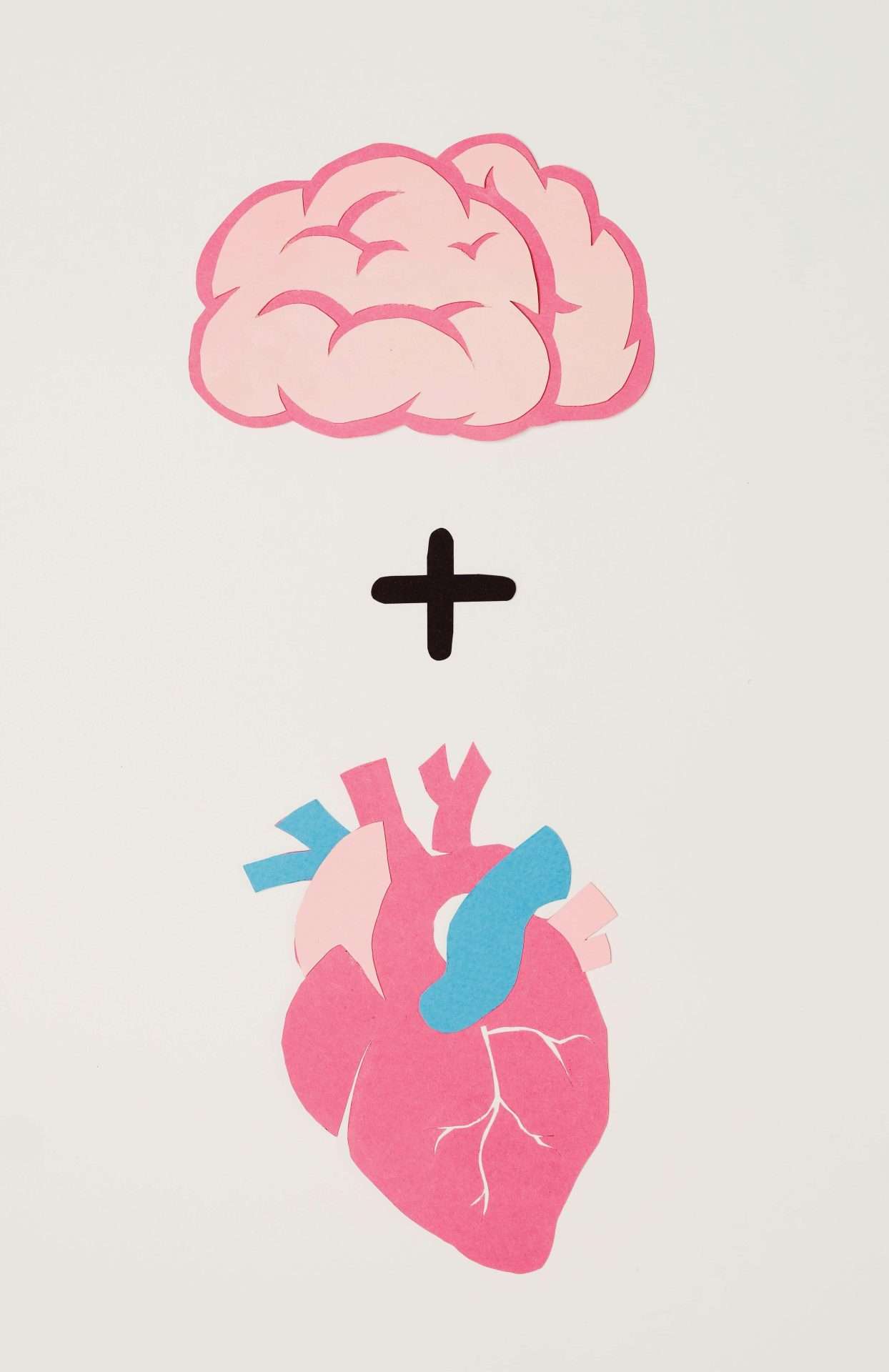 Ilustración de cerebro conectado con un simbolo de más con el corazon